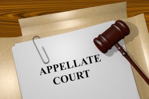 Appeal and Review Process in Criminal Law